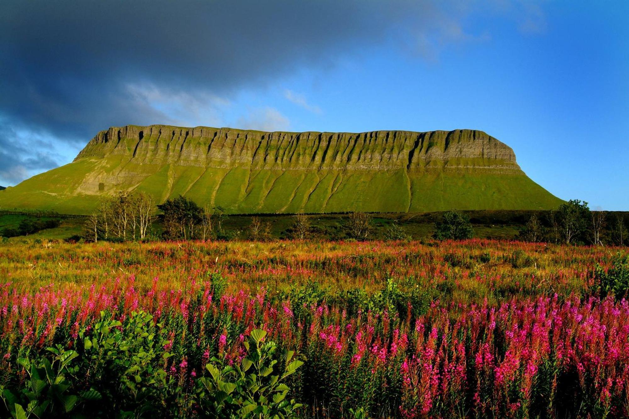 Central Sligo Townhouse Buitenkant foto